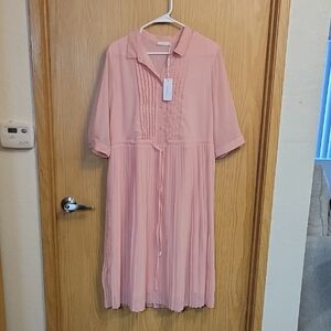 NWT WLDRSD Elegant Pink Pleated Dress
